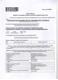 Лист записи ЕГРЮЛ